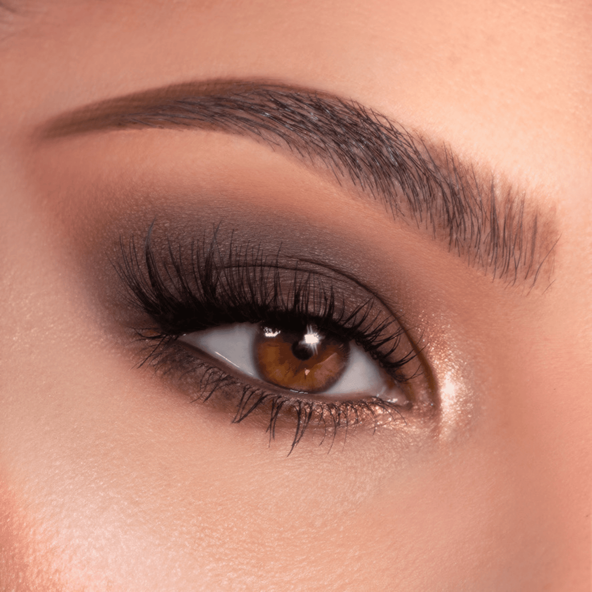 Smoky neutral eye showcases matte-to-shimmer browns blended from the Bare Necessities ColourPop Shadow Palette, shades sweeping from taupe to deep espresso with a champagne inner-corner highlight on a model’s brown eye with full lashes.