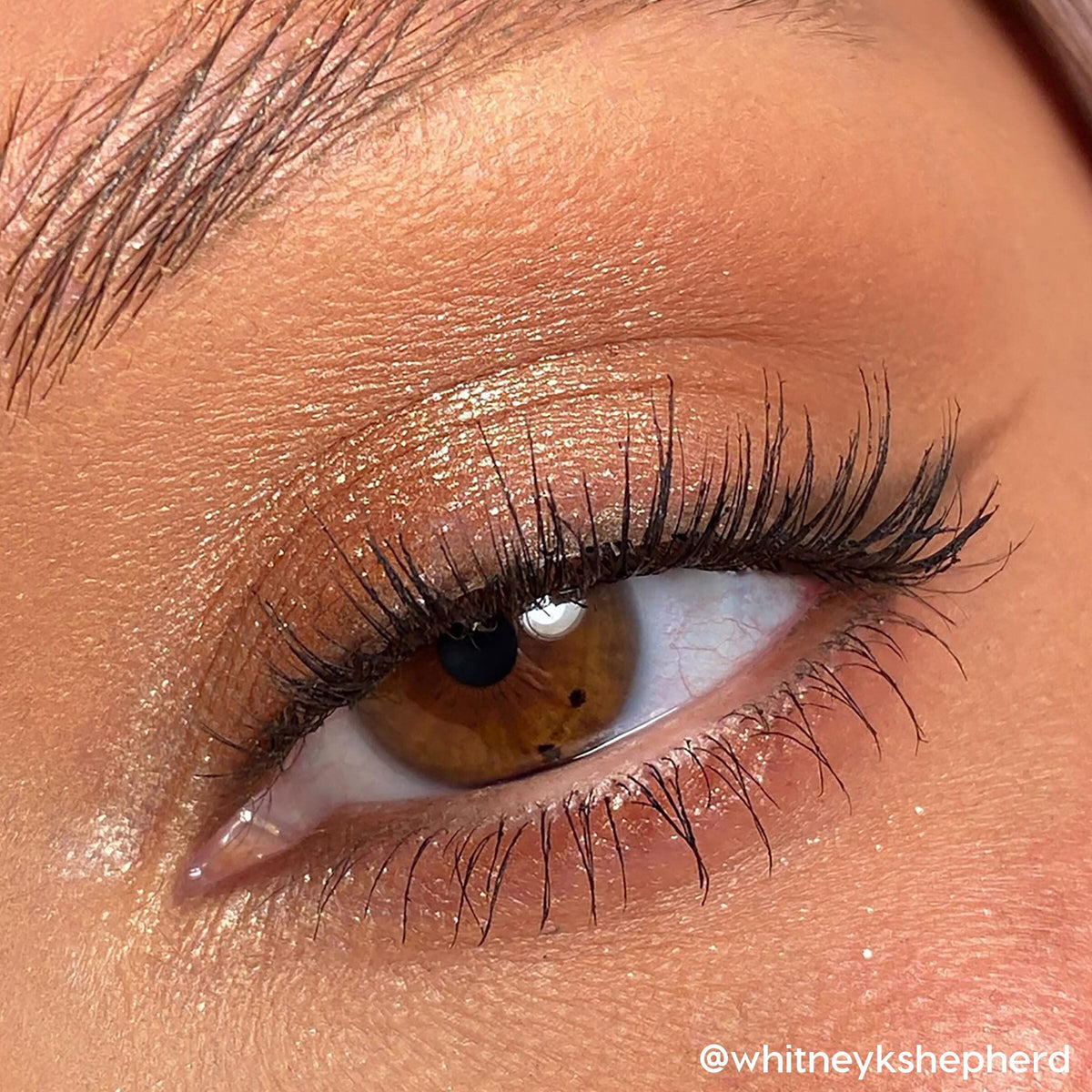 Brown eye wears warm coconut-brown and champagne shimmer from Going Coconuts Shadow Palette, lashes defined and lid catching light; close-up shot highlighting neutral tones of this ColourPop Shadow Palette for soft everyday glam.